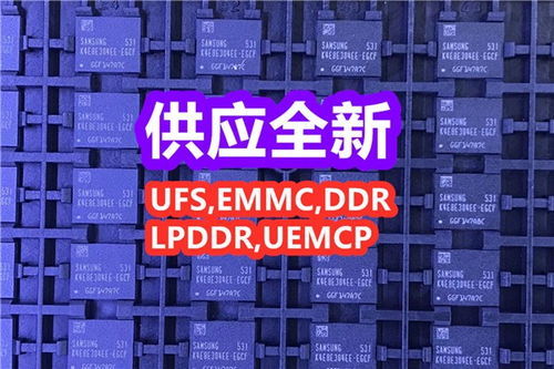 聚焦集路科技 探索电子产品营销的新生态与增长机遇